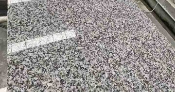 芜湖 芙蓉白光面