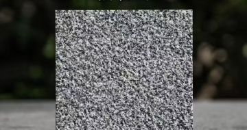 芜湖 芝麻黑荔枝面