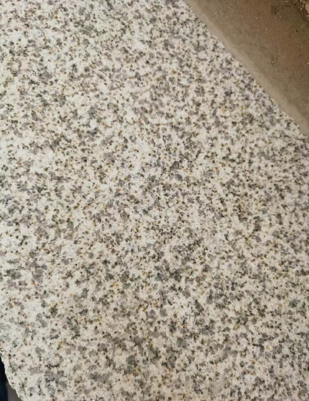 芜湖 黄金麻中黄光面